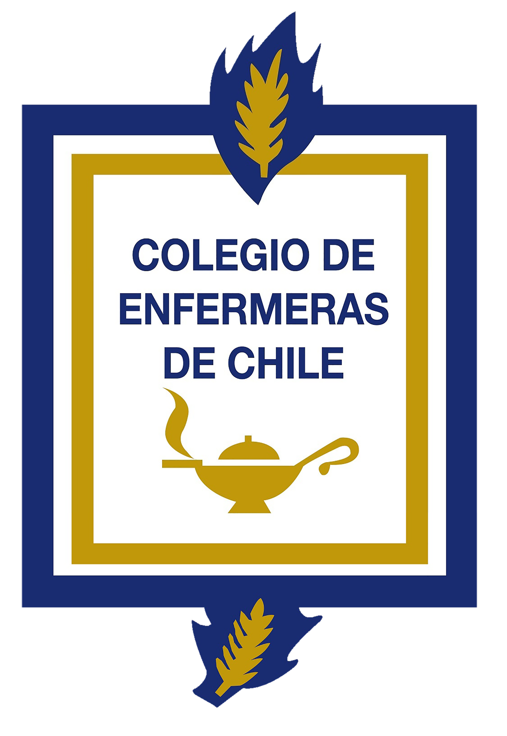 Colegio de Enfermeras de Chile